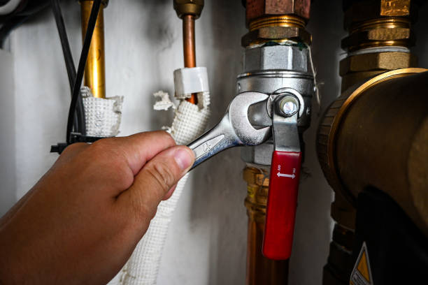 Best Leak Detection Services  in Woodbridge, CA